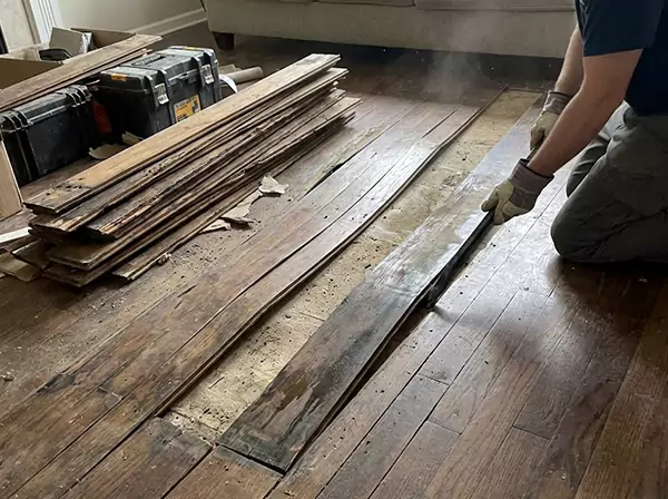 Water Damage Drying in Porterdale