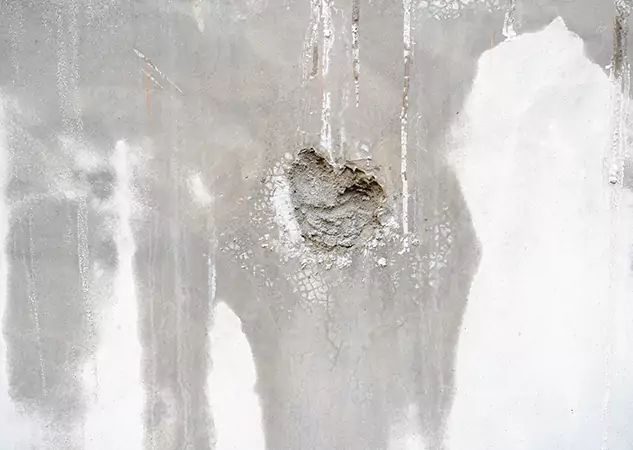 Your Mold Mitigation Solutions Partner in Porterdale, GA