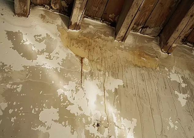Your Trusted Restoration Company in Porterdale, GA