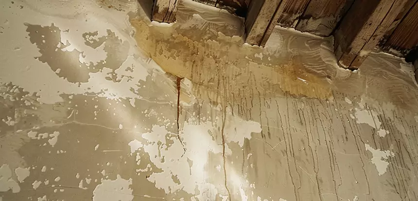 Professional Attic Water Damage Repair Services in Porterdale, GA