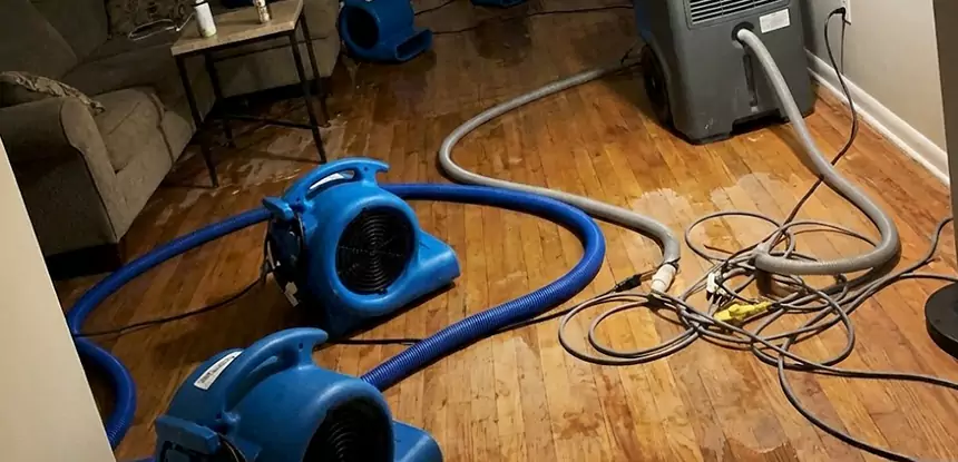 Basement Flood Restoration Services in Porterdale