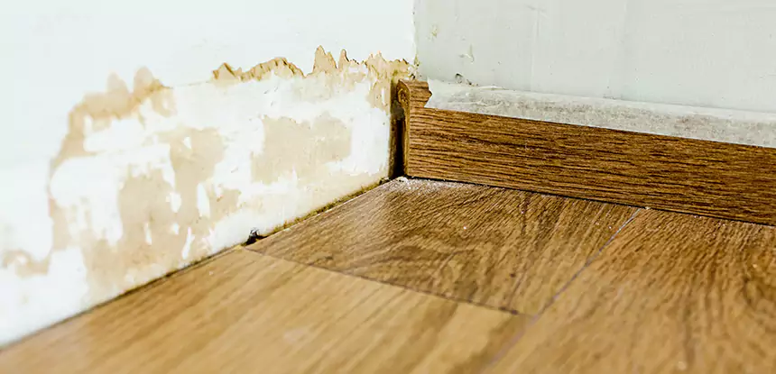 Professional Fix Water Damaged Wood Services in Porterdale, GA