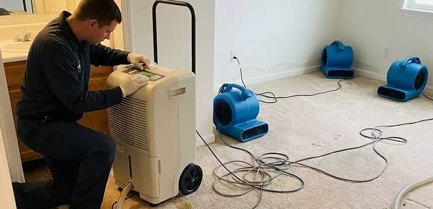 Professional Wet Carpet Removal Services in Porterdale, GA