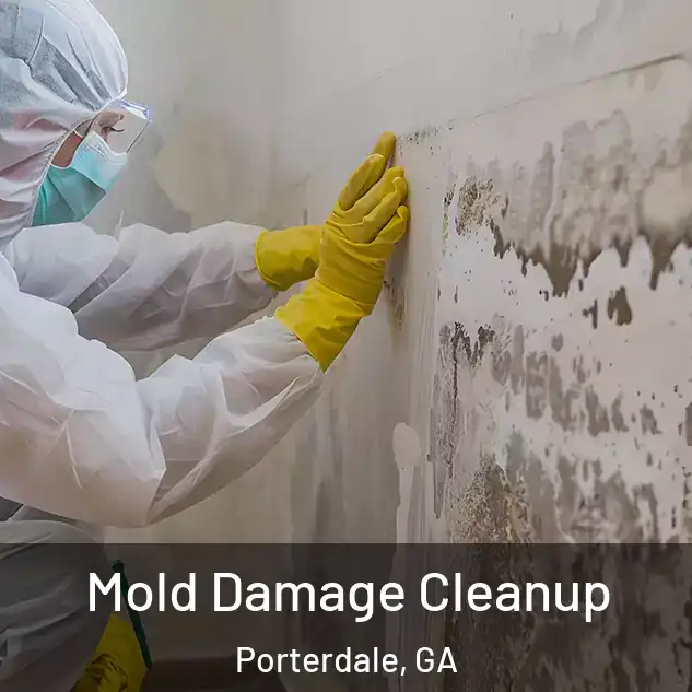 Mold Damage Cleanup Porterdale, GA